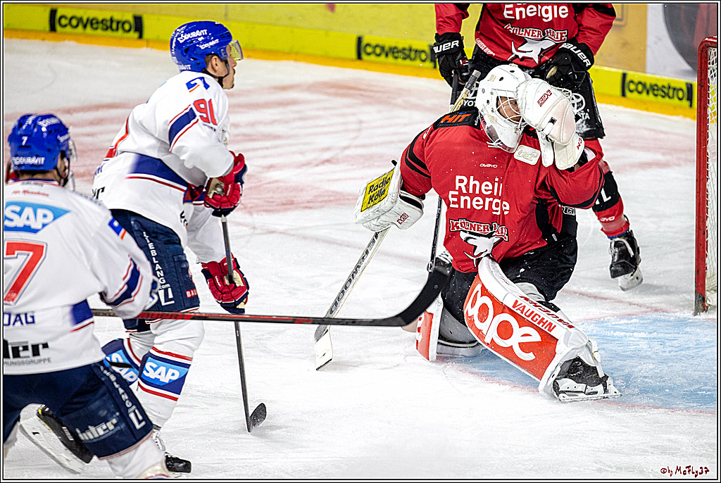 DEL; Koelner Haie - Adler Mannheim, 09.04.2019
